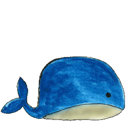 A whale swimming in the sea